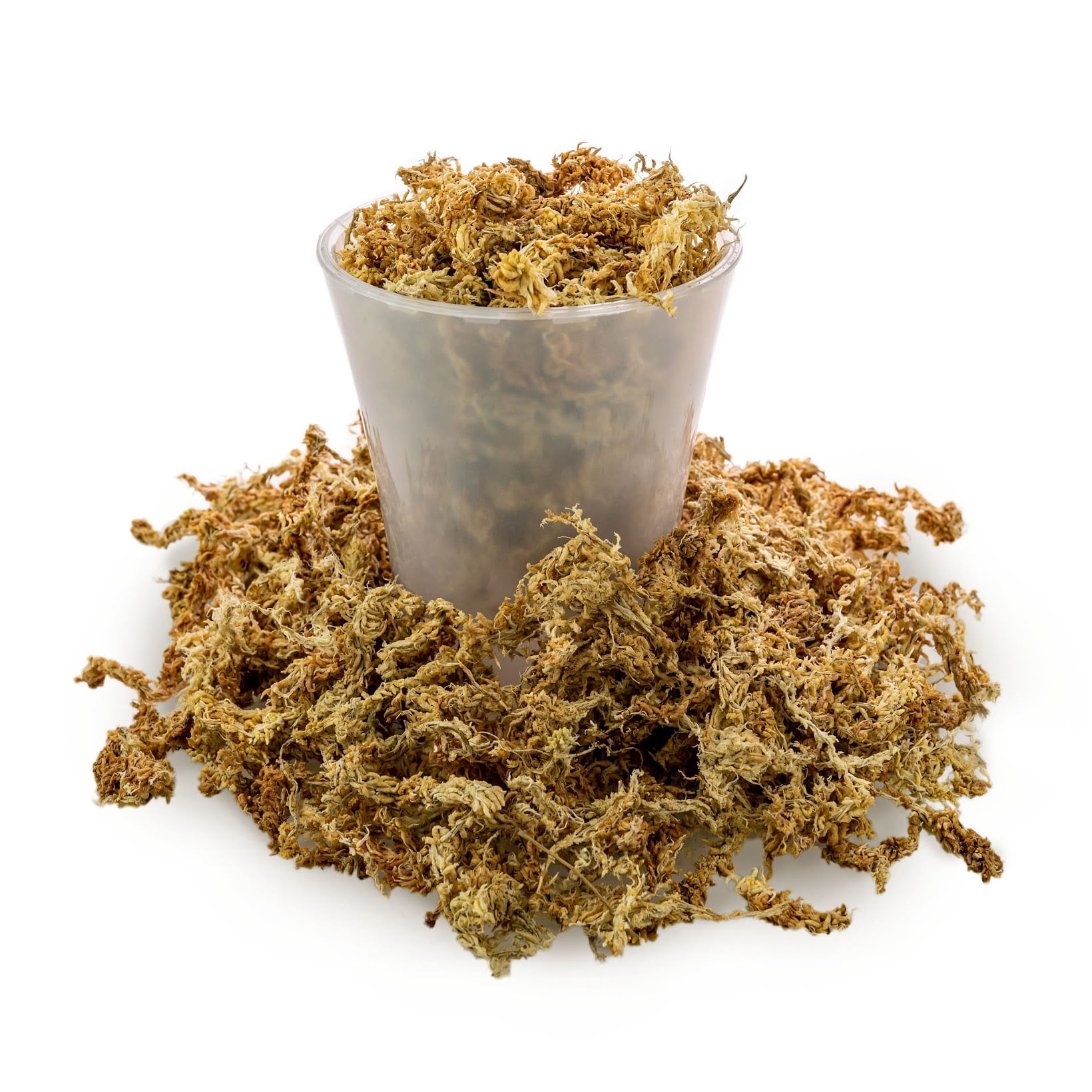 ⭐ PREMIUM New Zealand Sphagnum Moss - Organic Hand Mixed Long Fibered Sphagnum Moss Orchid by Gardenera - (4 Quart Bag)