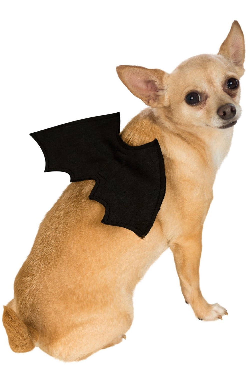 Pet Bat Wings