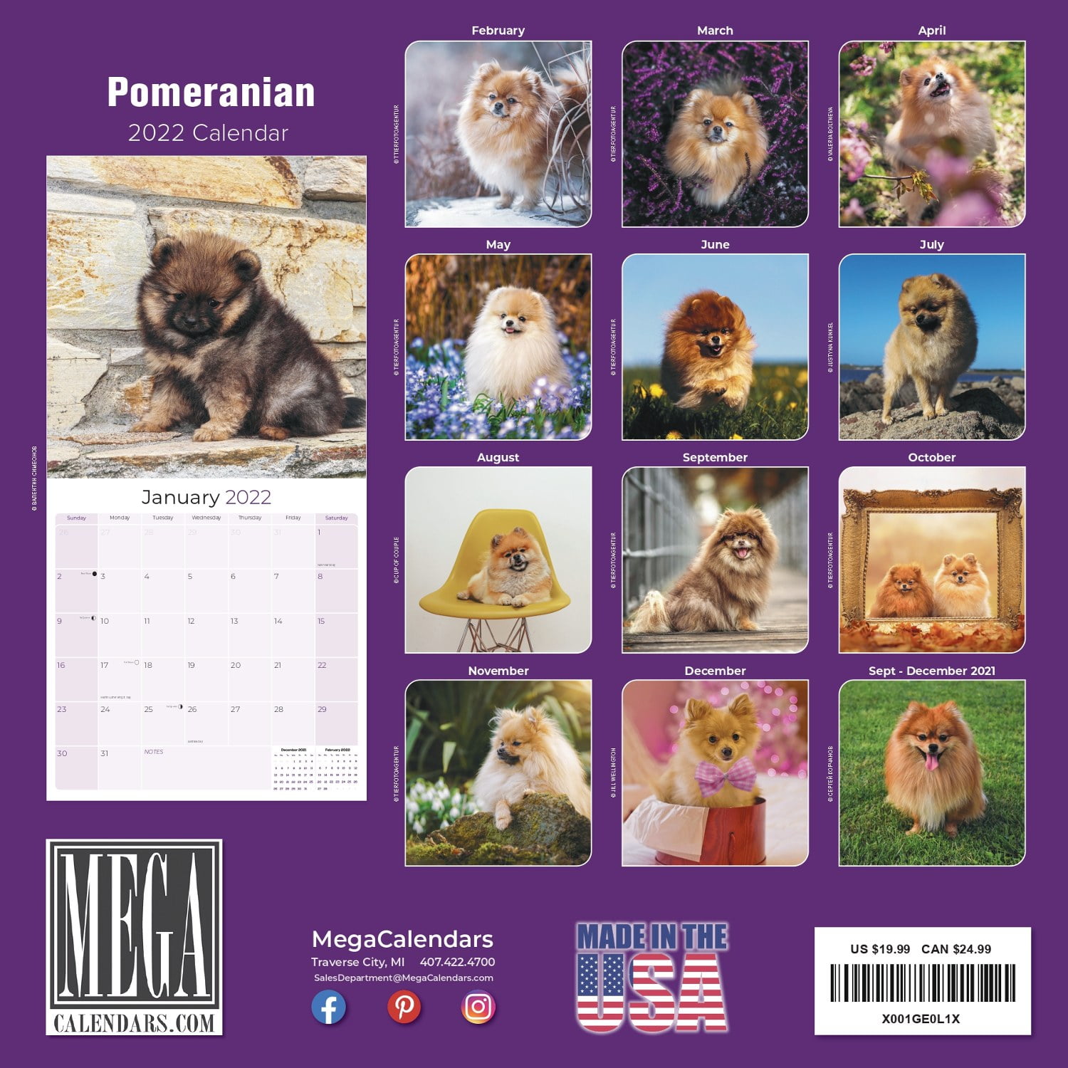 Pomeranian Calendar 2021-2022 - Dog Breed Monthly Wall Calendar - Made In Usa - 12 X 24 (Open) - Planner Calendar For Organizing & Planning - Walmart.com