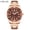 RoseGoldShellBrownSteelStrip, variant on Men's Quartz Watch Waterproof Wristwatches 816741728523