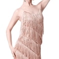thumbnail image 7 of BLESIYA Women Sequin Tassel Dress Dancewear Dress for Samba Cha Cha S, 7 of 7