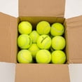thumbnail image 1 of CHUANK 100 Bulk Tennis Balls for Dogs Toys & Heavy Chewers, 1 of 3