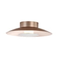 thumbnail image 2 of Yep by Golden Lighting Luma Integrated LED Flush Mount in French Gold and Graphite shade, 2 of 7