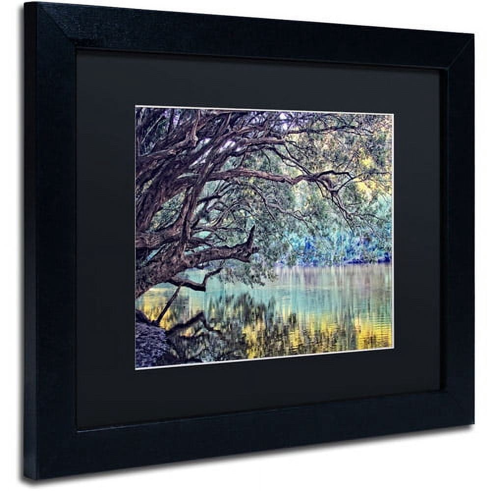 Trademark Fine Art "A Place to Dream" Canvas Art by Beata Czyzowska Young, Black Matte, Black Frame