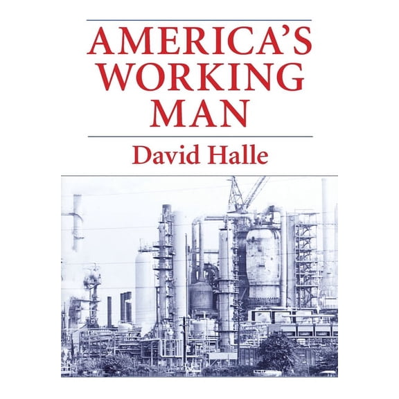 Work, Home, and Politics Among Blue Coll America's Working Man: Work, Home, and Politics Among Blue Collar Property Owners, (Paperback)