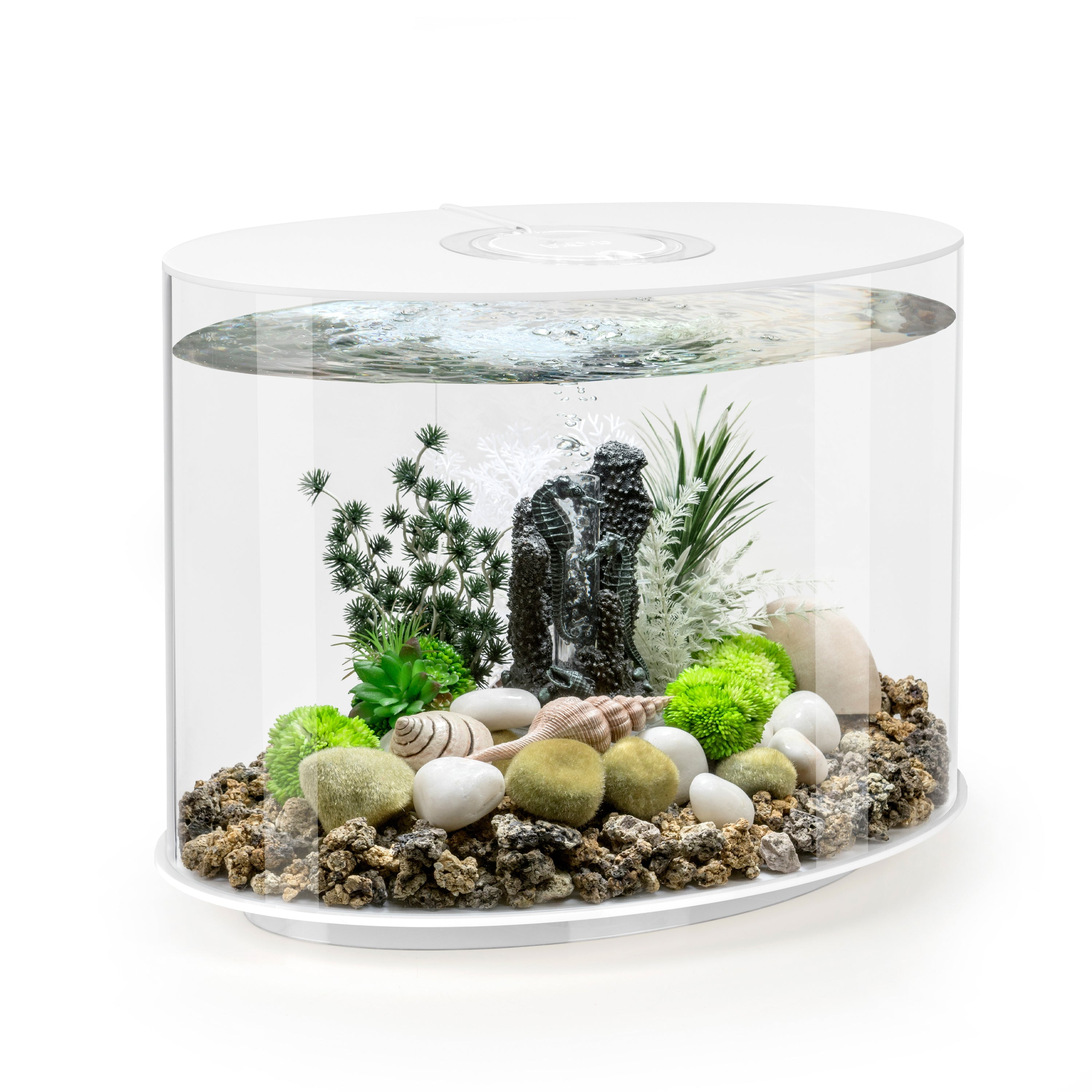 biOrb LOOP 30 Aquarium with MCR Light - 8 Gallon, White, Acrylic