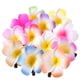 thumbnail image 1 of WORGEOUS FRCOLOR 24 piezas de 2,4 pulgadas hawaiano plumeria flor pinza para el cabello accesorio para el cabello para decoración de eventos de boda en la playa (12 colores), 1 of 9