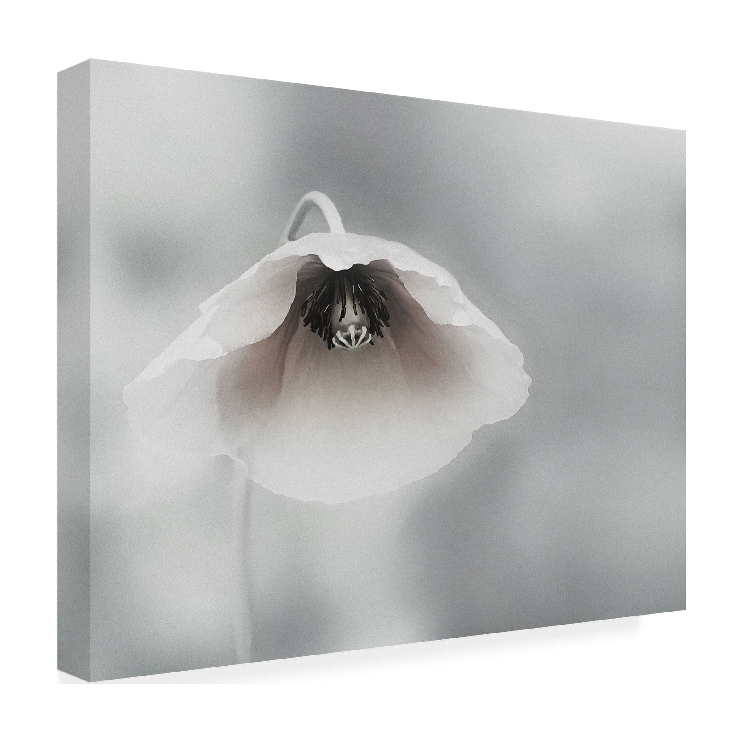 Piet Flour 'Ephemeral Beauty' Canvas Art