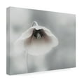 thumbnail image 4 of Piet Flour 'Ephemeral Beauty' Canvas Art, 4 of 4