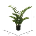 thumbnail image 4 of Vickerman 43" Potted Green Zamifolia Artificial Bush., 4 of 5
