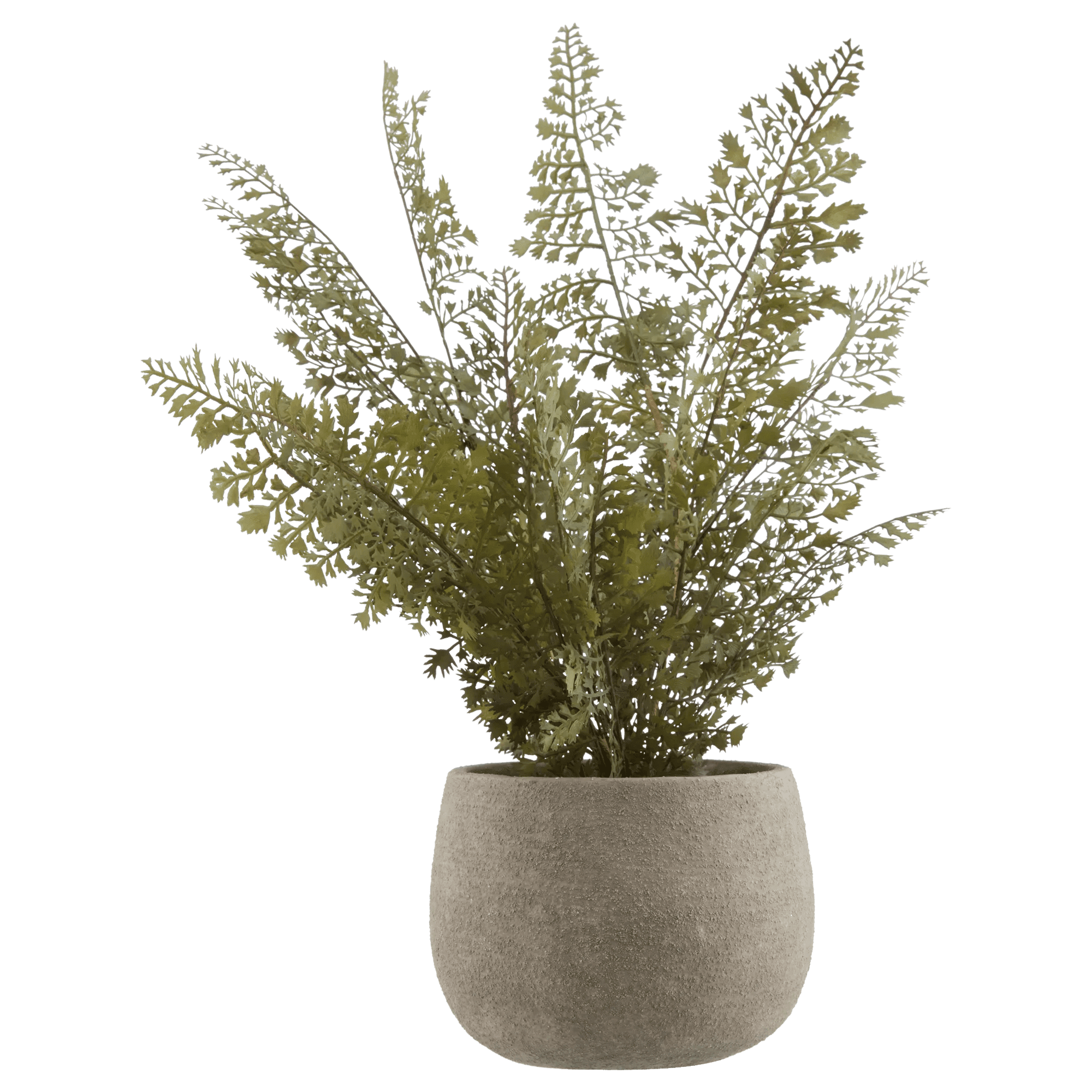Fougère artificielle Bouclair en pot en ciment 40x23x30 cm