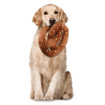 thumbnail image 2 of Retriever 39006 - Crinkle, Squeaky, Mega Plush Pretzel Dog Toy, All Life Stages, 2 of 2