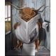 thumbnail image 1 of Kits de pintura de diamantes CHAO vaca 5D completo con lectura de libros redondos, 1 of 5