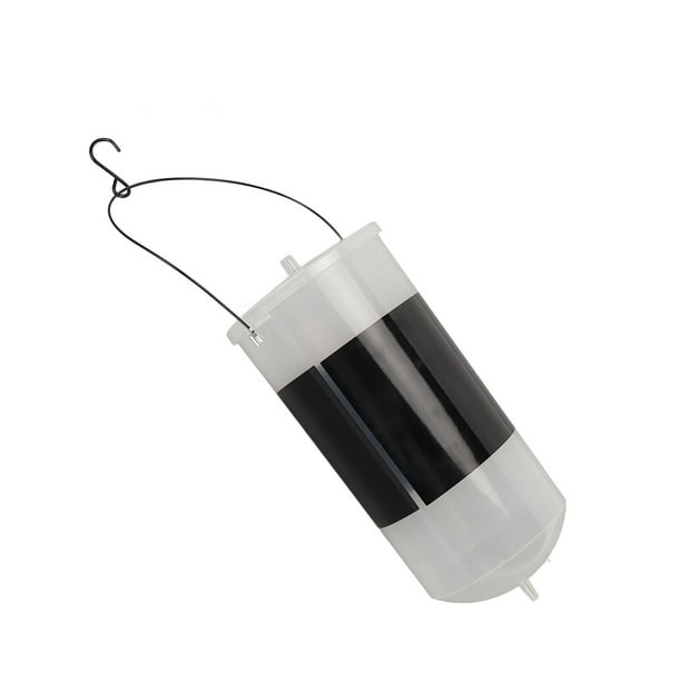 Brine shrimp kit 2025