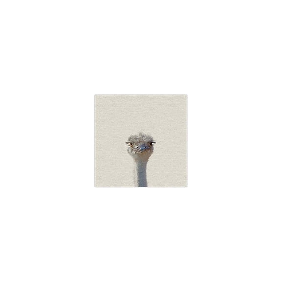 Grumpy Ostrich II Floater Framed Painting Print on Canvas