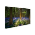 thumbnail image 2 of Trademark Fine Art "Mystical Forest" Canvas Art by Mathieu Rivrin, 2 of 3