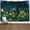 NO.00438, variant on Gojian Forest Tapestry Wall Hanging - Green Misty Pine Tree Nature Wall Art, Tapestries BoHo Decor for Living Room & Bedroom Spaces