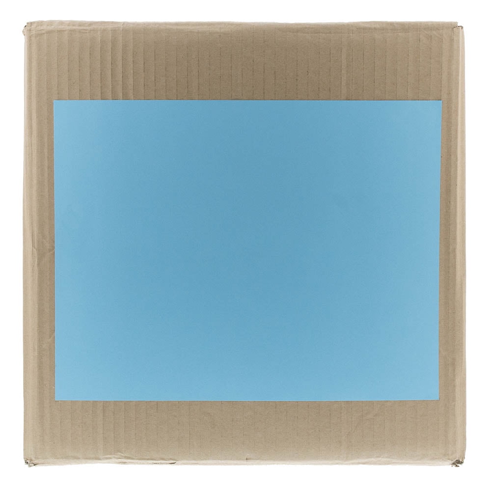 JAM Paper Full Page Shipping Labels, 8 1/2 x 11, Blue, 10 Full Sheets per Pack