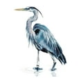 thumbnail image 2 of Parker, Jennifer Paxton 25x32 White Modern Wood Framed Museum Art Print Titled - Blue Blue Heron II, 2 of 4