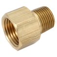 thumbnail image 1 of Brass Threaded Adapter, Lead Free, 1/8 Male x 1/8 In. Female - 756120-0202, 1 of 1