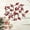 B, variant on Three Different Types Of Red Berry Family Festival Wedding Branches Are Festival Day of The Flowers Flowers with Vase Silk Flowers Hot Roses Flowers Flower Arrangements in Vase Sunflower Heads Flowers