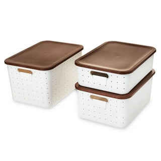 Dream Lifestyle Portable Storage Box, Plastic Organizer Storage with Lid  and Handle for Office Home Dorm, Multipurpose Storage Box for Face Cover  File Letter Paper and Various Kinds of Small Items 