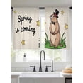 thumbnail image 2 of Groundhog Day Sheer Curtains 45 Inch Length 2 Panels Set, Rustic Spring Botanical Star Yellow Voile Window Treatment Rod Pocket Small Kitchen Curtains Drapes for Bedroom 52"x45"x2, 2 of 7