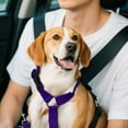 thumbnail image 3 of Car Pet Belt Dog Car Leash Cute Pet Car Adjustable Rope Rope, 3 of 4