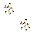 thumbnail image 2 of Wosthever 12 Pieces Dried Flower Crafts Simple Prop Make Accessories DIY Cosmetic Flowers Exquisite Decor Pressed Craft Style Tipo 1 2Conjunto, 2 of 6
