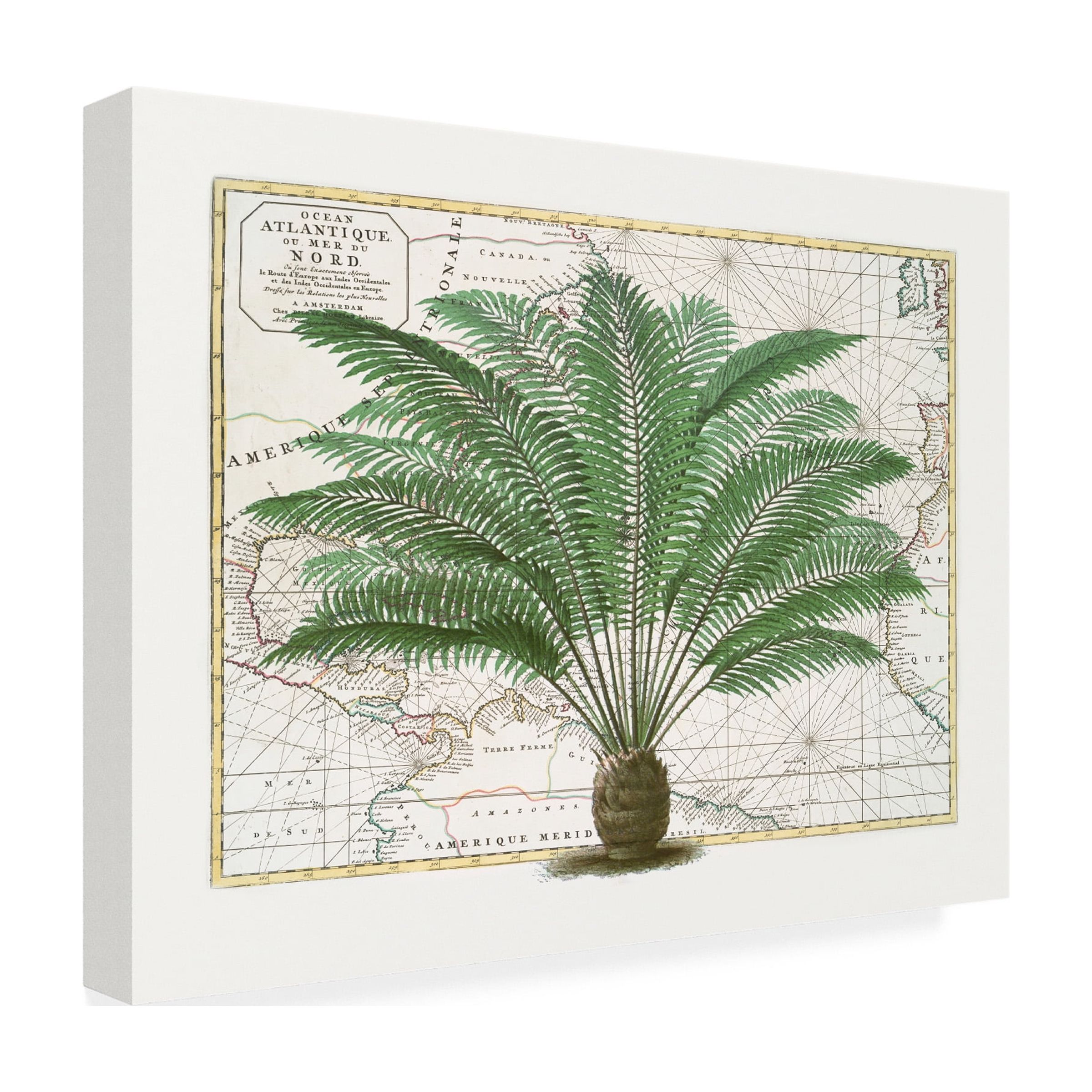 Andrea Haase 'Tropical Empire No5' Canvas Art
