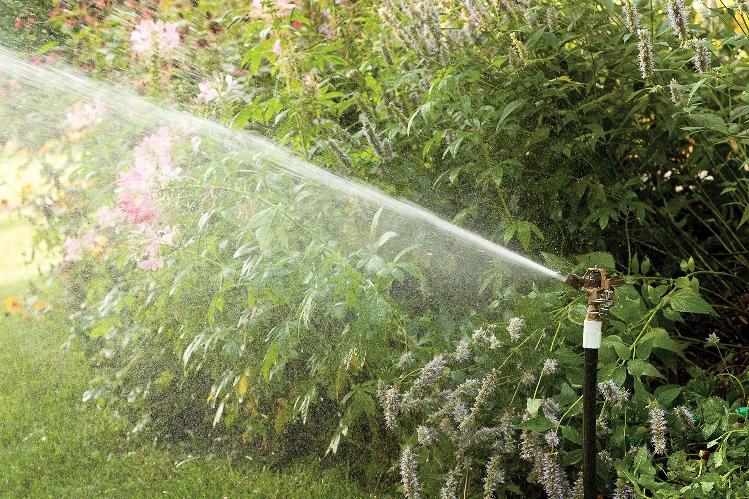 Rain Bird Brass Impact Sprinkler, 42 Ft. - 51 Ft.