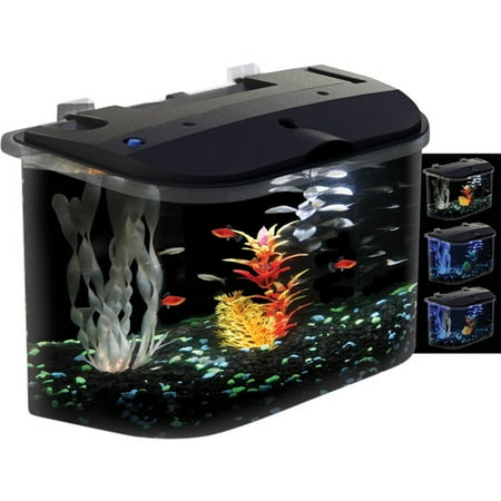 ***fast Track***glofish Aquarium Kit 5 G - 56b8651f 52b3 4332 95aa 6e3c74cc5e19 1.49ac5ecc41c7800bcDD9f009f53c4950
