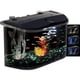 image 0 of ***fast Track***glofish Aquarium Kit 5 G