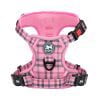 Checkered Pink