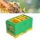 thumbnail image 5 of Caja De Apicultura, Herramienta De Apicultura, Ligera, Práctica, Fácil De Usar Para Abejas Italianas ANGGREK Otros, 5 of 8