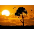 thumbnail image 2 of wall26 - Africa Safari Nature Sunset. Element of Design. - Removable Wall Mural | Self-Adhesive Large Wallpaper - 100x144 inches, 2 of 6