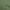 Green, variant on oneOone Polyester Spandex Blue Fabric Aian Batik Fabric For Sewing Printed Craft Fabric By The Yard 56 Inch Wide