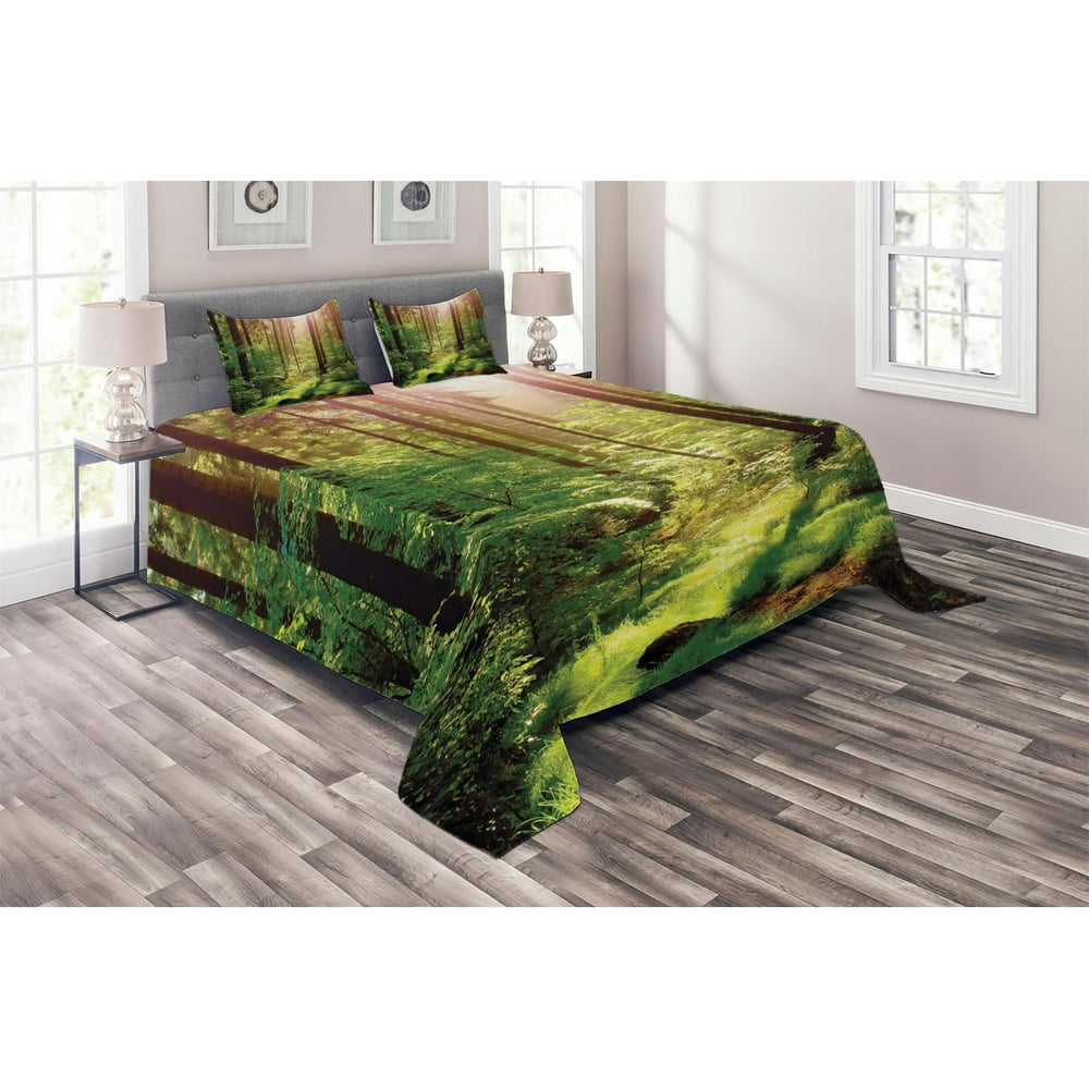 Forest Coverlet Set Queen Size, Forest in Spring Time Sunset Moss Woods ...