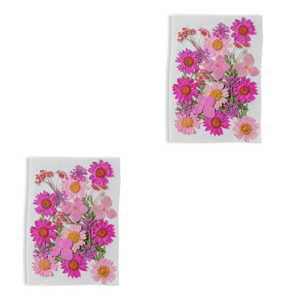 Bearachild Flores secas naturales, ramos de flores prensadas DIY, decoración de flores en relieve, fabricación decorativa para postales, álbumes de Rosado 2piezas Bearachild CBP163501