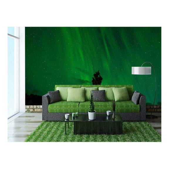 wall26 - Beautiful View of Green Aurora - Removable Wall Mural | Self-Adhesive Large Wallpaper - 66x96 inches