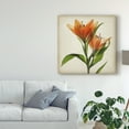thumbnail image 3 of Trademark Fine Art 'Parchment Flowers X' Canvas Art by Judy Stalus, 3 of 4