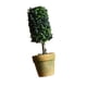 thumbnail image 5 of Plantas Artificiales De Árbol De Bonsais, Adornos Decorativos De Jardín 4, 5 of 8