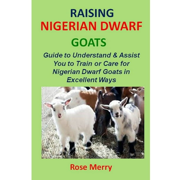 Raising Nigerian Dwarf Goats Comprehensive & Swift Guide to