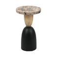 thumbnail image 4 of Sagebrook Home Neutral Modern 20" Petrified Wood Inspired Suar Wood Natural Side Accent Table, 4 of 8
