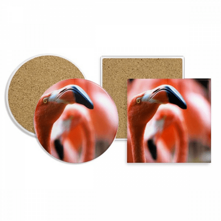 

m Flango Animal Coaster Cup Mug Holder Absorbent Stone Cork Base Set