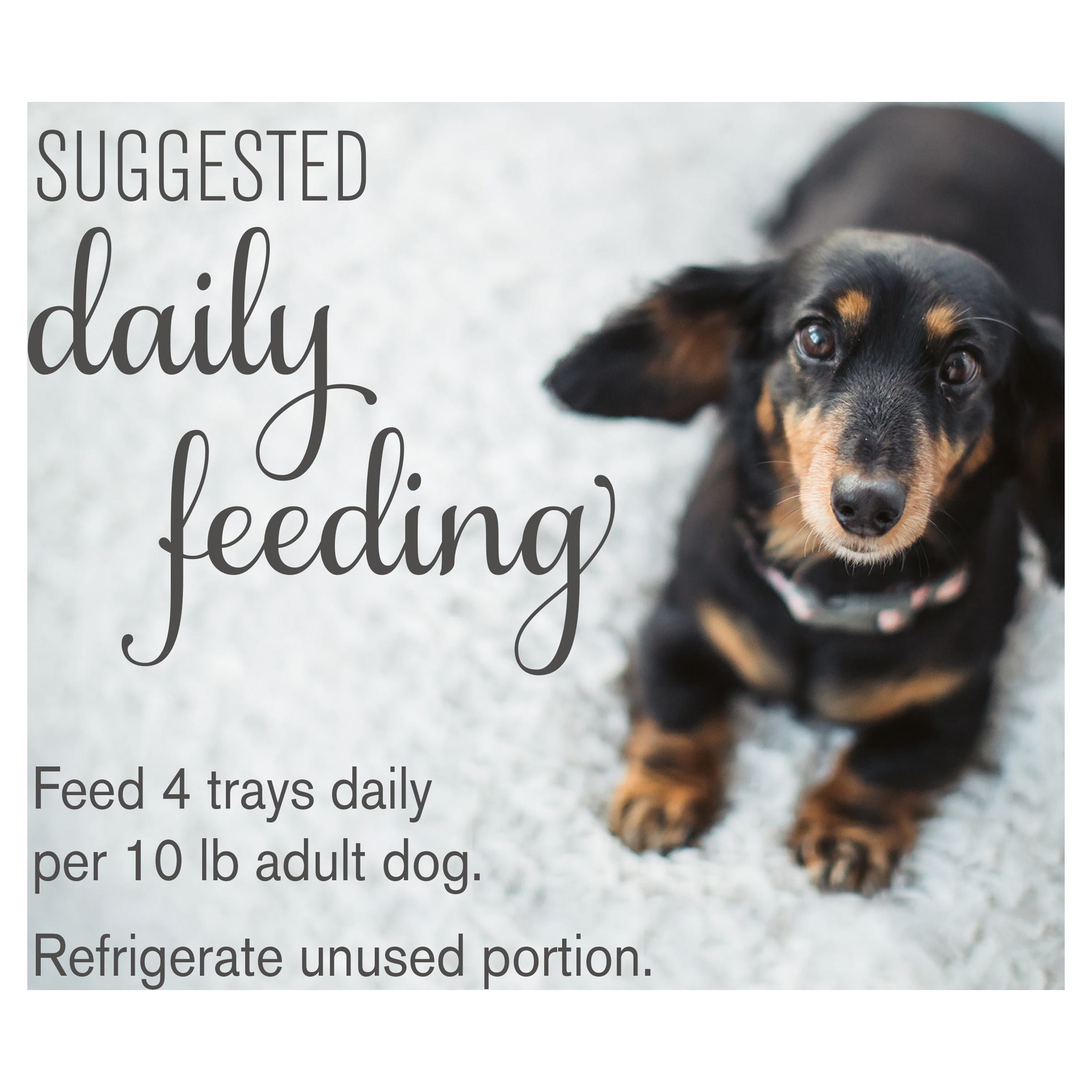 where to buy natural balance dog food Natural Balance limited ingredient diet vegetarian 28lb dog food  Brothers  Country Supply