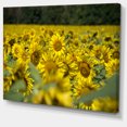 thumbnail image 2 of Bright Yellow Sunflowers Field - Floral Canvas Art Print, 2 of 4