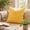 F, variant on Yellow Throw Pillow, Soft Cushion for Sofa, 18x18 Inch Decorative Pillow for Living Room