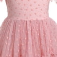 thumbnail image 6 of IBTOM CASTLE Kids Girls Princess Tulle Tutu Dress Flutter Sleeve Star Glitters Rainbow Birthday Party Pageant Summer Dresses 3-4 Years Pink Heart, 6 of 8