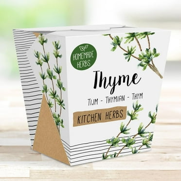 Homemade Herb Kit – All-in-One Kitchen Thyme – Indoor Garden Planter - Grow Your own Edible Herbs – Live Seeds Ready to Plant – Pleasantly Scented